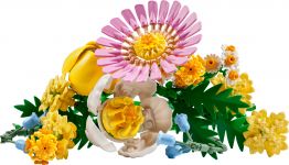 LEGO Botanicals 10347 Kleiner Sommerstrauß