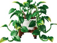 LEGO Botanicals 11512 Hängende Efeutute - Bild: ©2026 LEGO Group LEGO Botanicals 11512 Hängende Efeutute